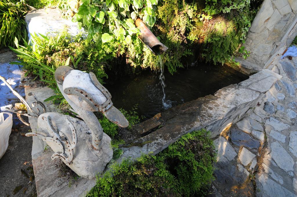 Alojamiento Rural El Brazal Villa Lanjarón Dış mekan fotoğraf